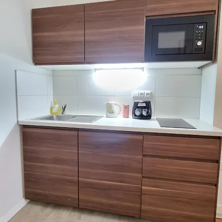 Apartment Finnem Florenc